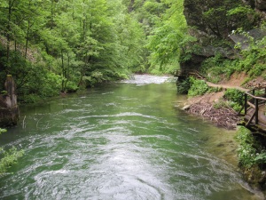 Vintgar Gorge - Radovna River
