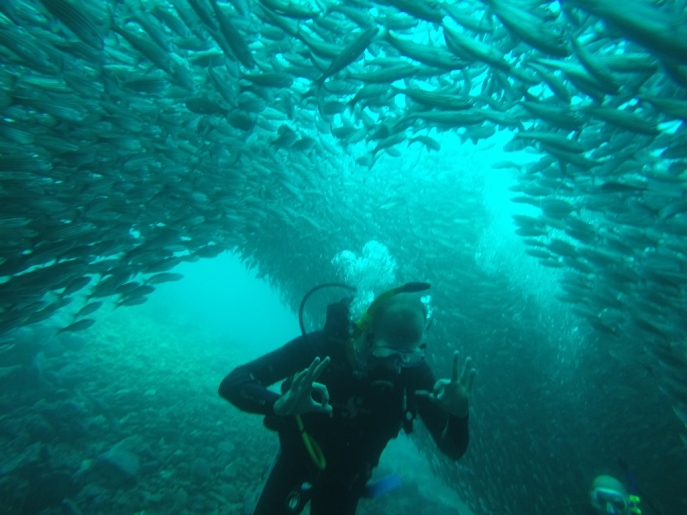 Among the fish, scuba diving at Kicker Rock